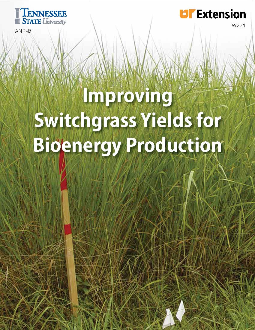 Switchgrass cover